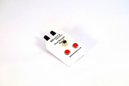 Brantz Dual Zero Remote